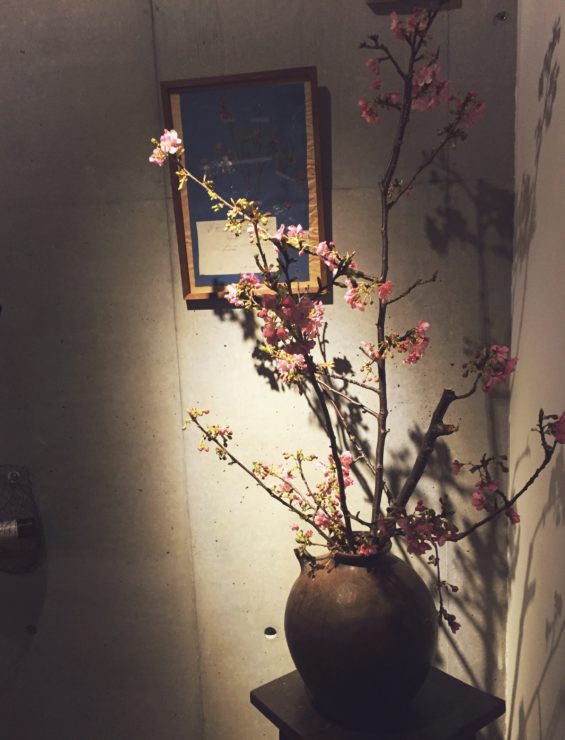 少し早く春を届けてくれるのはダンデライオンさん♪ まだ寒い日本なのに、どこで桜を咲かせているのか…っていつも不思議です♪ お仕事をしながら、ダンデライオンの届けてくれる花達に癒される…♪幸せな気持ちになります♪